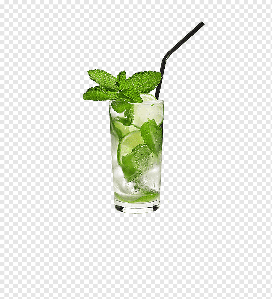 JUGO DEL DIA - LIMONADA 300ML