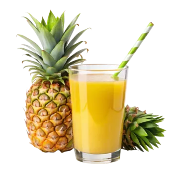 AGUA DE PIÑA 16 ONZ